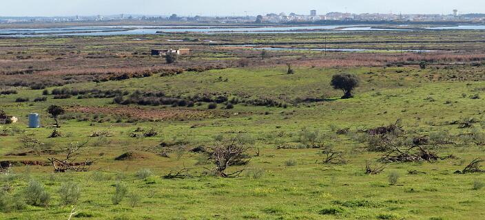 2011 01 30_1257_P1